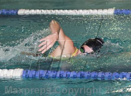Thumbnail 1 in Conference Swim Meet  photogallery.