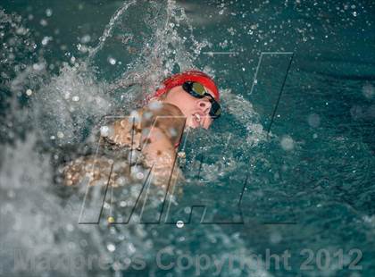 Thumbnail 1 in Conference Swim Meet  photogallery.