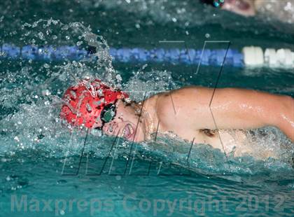 Thumbnail 2 in Conference Swim Meet  photogallery.