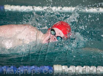 Thumbnail 2 in Conference Swim Meet  photogallery.