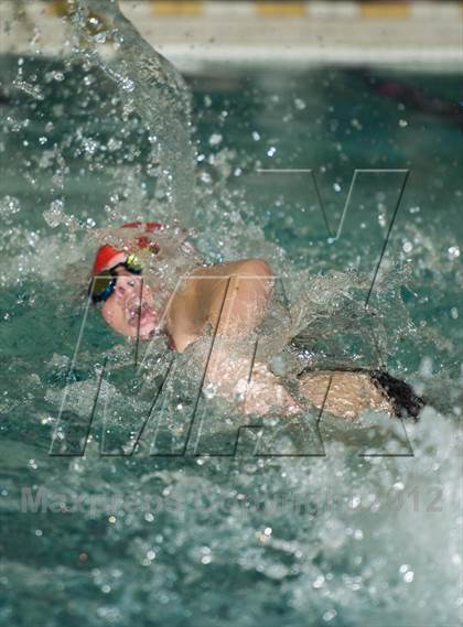 Thumbnail 2 in Conference Swim Meet  photogallery.