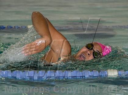 Thumbnail 3 in Conference Swim Meet  photogallery.