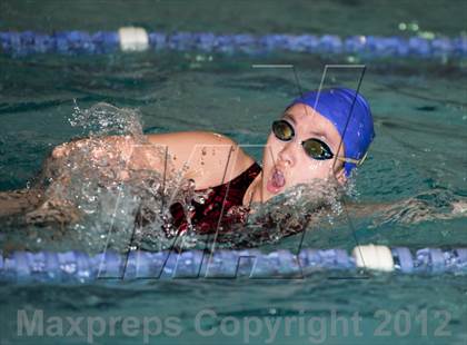 Thumbnail 2 in Conference Swim Meet  photogallery.