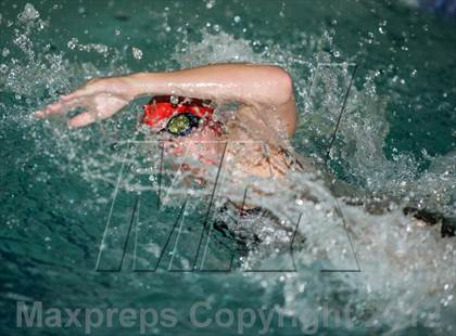 Thumbnail 1 in Conference Swim Meet  photogallery.