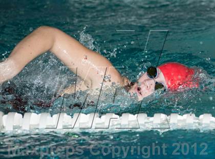 Thumbnail 1 in Conference Swim Meet  photogallery.