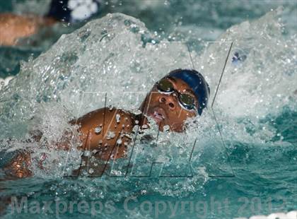 Thumbnail 2 in Conference Swim Meet  photogallery.