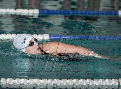 Thumbnail 2 in Conference Swim Meet  photogallery.