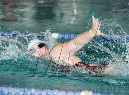 Thumbnail 2 in Conference Swim Meet  photogallery.