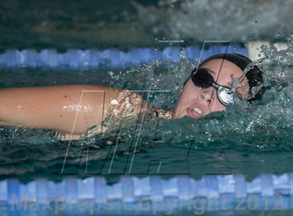 Thumbnail 2 in Conference Swim Meet  photogallery.