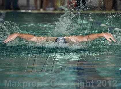 Thumbnail 2 in Conference Swim Meet  photogallery.