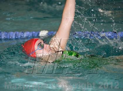Thumbnail 1 in Conference Swim Meet  photogallery.