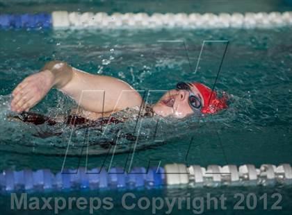 Thumbnail 3 in Conference Swim Meet  photogallery.
