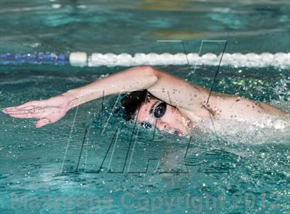 Thumbnail 1 in Conference Swim Meet  photogallery.
