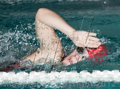 Thumbnail 2 in Conference Swim Meet  photogallery.
