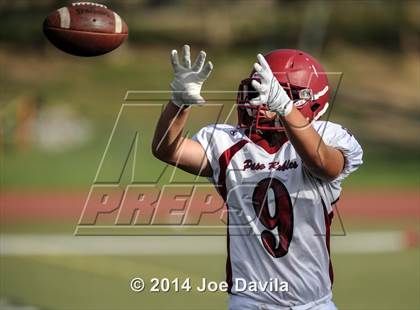 Thumbnail 3 in Paso Robles @ Righetti photogallery.
