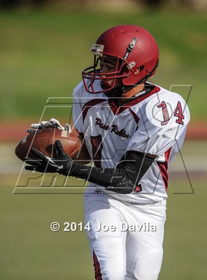Thumbnail 3 in Paso Robles @ Righetti photogallery.