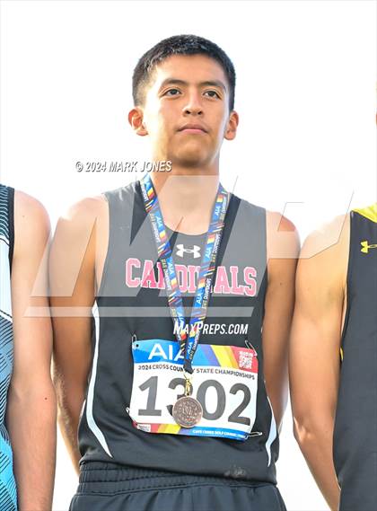 Thumbnail 1 in AIA D-IV Boys State Championship (Awards) photogallery.