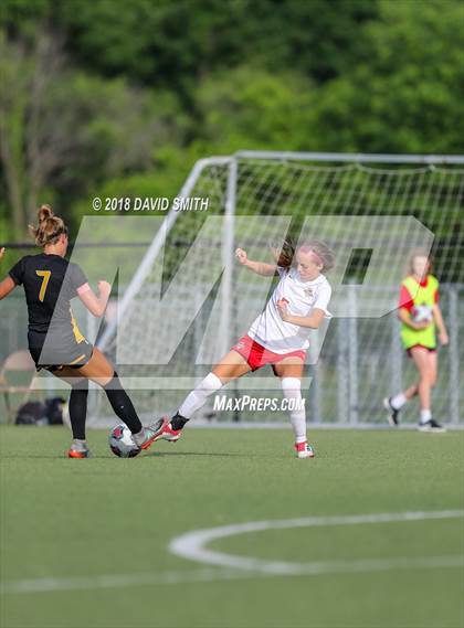 Thumbnail 2 in St. Teresa's Academy @ Park Hill (MSHSAA Class 4 Quarterfinal) photogallery.