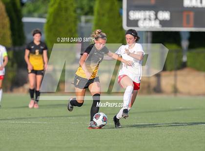 Thumbnail 1 in St. Teresa's Academy @ Park Hill (MSHSAA Class 4 Quarterfinal) photogallery.