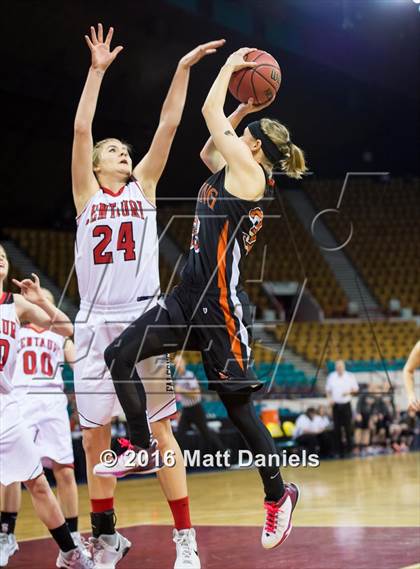 Thumbnail 3 in Sterling vs. Centauri (CHSAA 3A 3rd Place Final) photogallery.