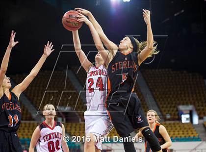 Thumbnail 1 in Sterling vs. Centauri (CHSAA 3A 3rd Place Final) photogallery.