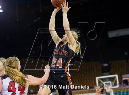 Thumbnail 2 in Sterling vs. Centauri (CHSAA 3A 3rd Place Final) photogallery.