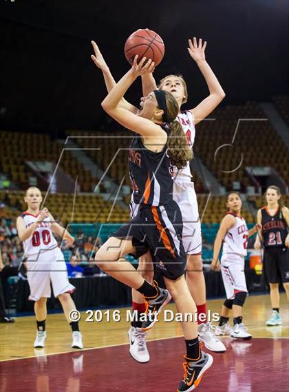 Thumbnail 1 in Sterling vs. Centauri (CHSAA 3A 3rd Place Final) photogallery.
