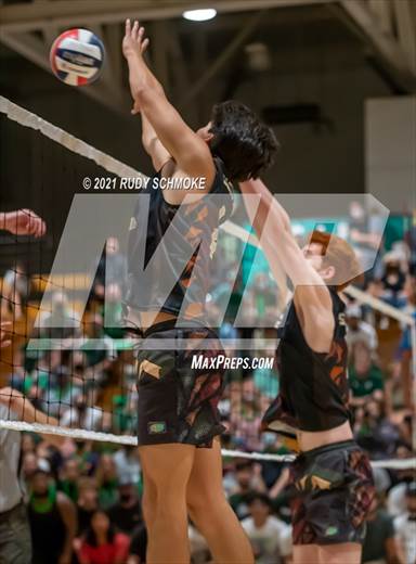 null - Photo 11