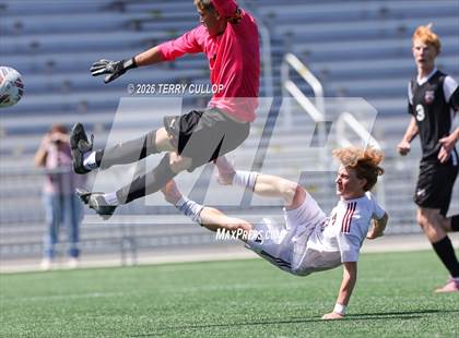 Thumbnail 2 in Ogden vs. Morgan (UHSAA 3A Final) photogallery.