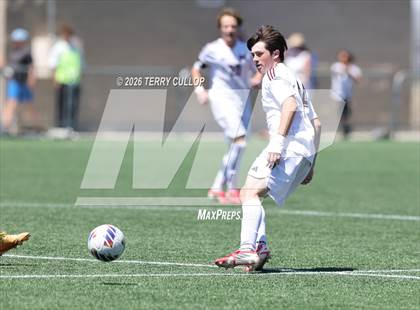 Thumbnail 1 in Ogden vs. Morgan (UHSAA 3A Final) photogallery.
