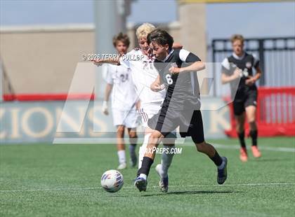 Thumbnail 3 in Ogden vs. Morgan (UHSAA 3A Final) photogallery.