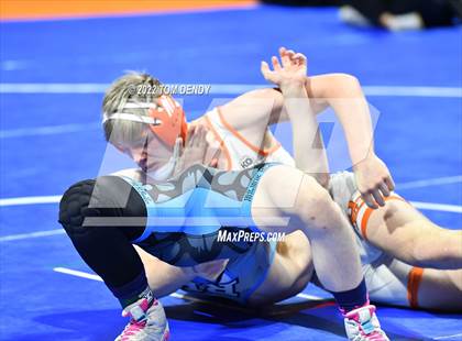 Thumbnail 1 in UIL State Championships - 5A 145lb Final photogallery.