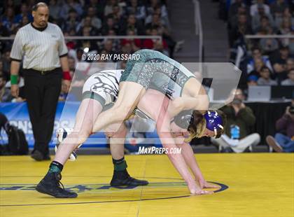 Thumbnail 2 in NYSPHSAA Wrestling Championships - Finals 99 lbs - 126 lbs photogallery.
