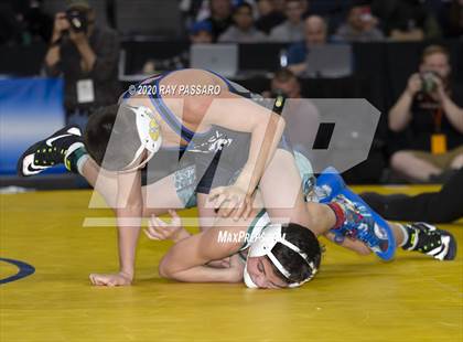 Thumbnail 2 in NYSPHSAA Wrestling Championships - Finals 99 lbs - 126 lbs photogallery.