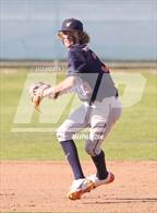Photo from the gallery "Valhalla @ Madison"