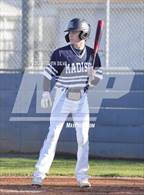 Photo from the gallery "Valhalla @ Madison"
