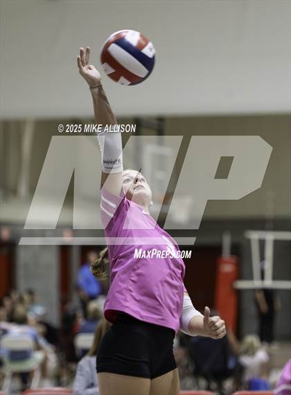 Thumbnail 1 in Soddy Daisy @ Baylor photogallery.