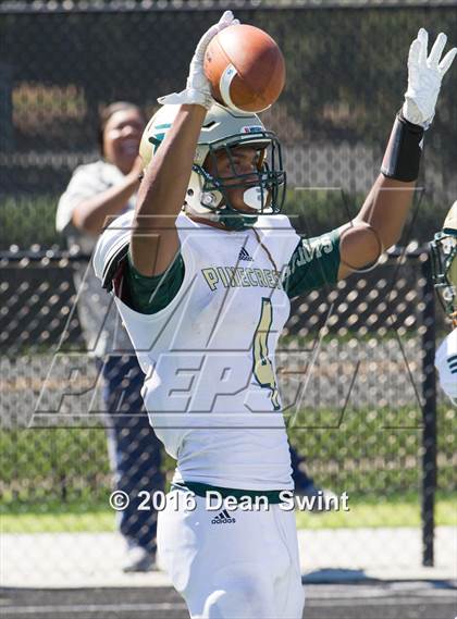 Thumbnail 2 in Pinecrest @ Weddington photogallery.