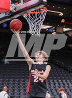 Photo from the gallery "Brophy College Prep @ Hamilton"