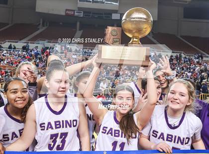 Thumbnail 2 in Page @ Sabino (AIA 3A Final Awards) photogallery.