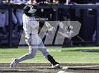 Photo from the gallery "Basha @ Perry"