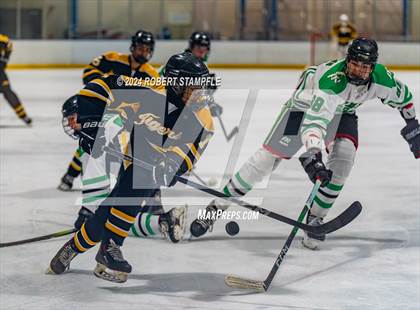 Thumbnail 2 in North Allegheny @ Pine-Richland photogallery.