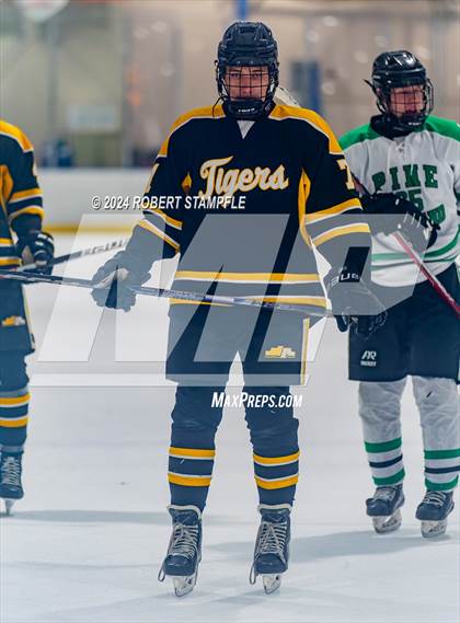 Thumbnail 3 in North Allegheny @ Pine-Richland photogallery.