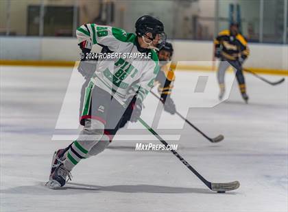 Thumbnail 1 in North Allegheny @ Pine-Richland photogallery.
