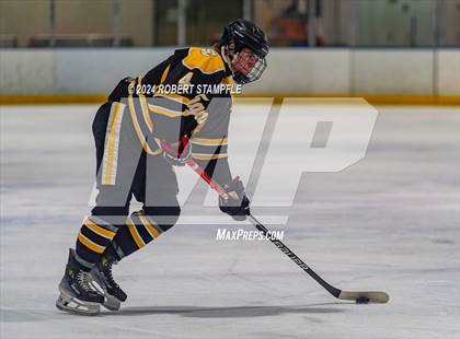 Thumbnail 2 in North Allegheny @ Pine-Richland photogallery.