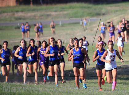 Thumbnail 1 in Uvalde Classic photogallery.