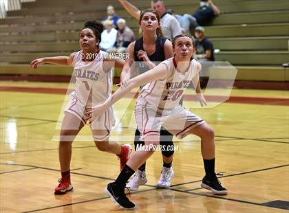 Thumbnail 2 in Wiregrass Ranch @ Pasco photogallery.