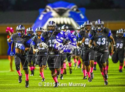 Thumbnail 2 in Klein vs Dekaney photogallery.
