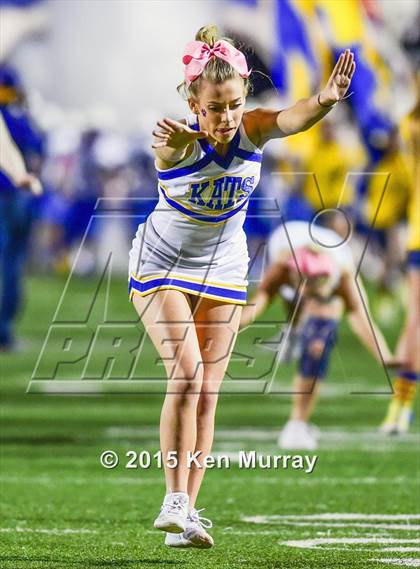 Thumbnail 1 in Klein vs Dekaney photogallery.