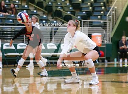 Thumbnail 2 in JV: Lovejoy @ Prosper photogallery.